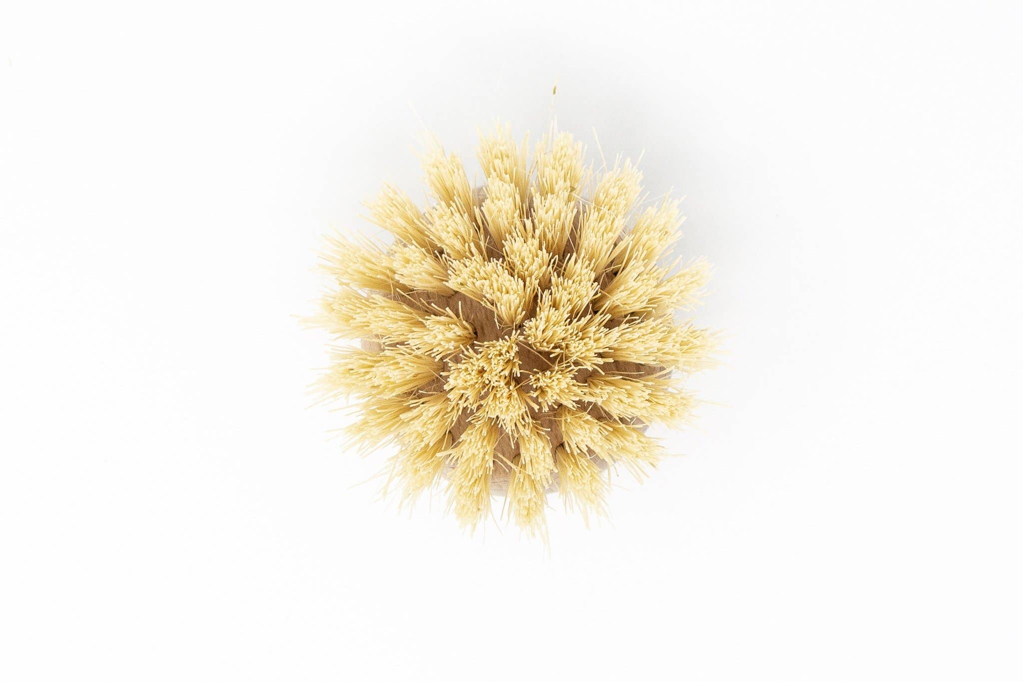 The Waste Less Shop – wholesale Cleaning brush – Beechwood Long Handle Dish Brush – Soft Agave6