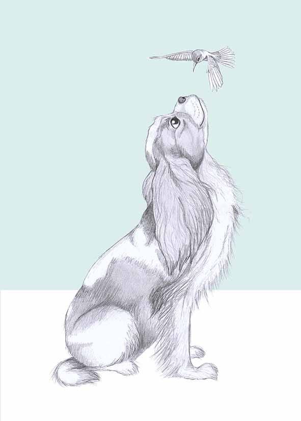 I AM NIEN - Wholesale Everyday Greeting Card - Cavelier king charles spaniel3