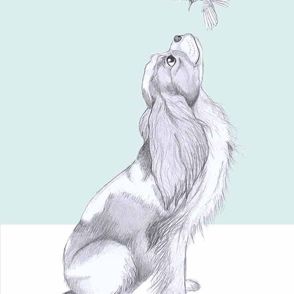 I AM NIEN - Wholesale Everyday Greeting Card - Cavelier king charles spaniel3