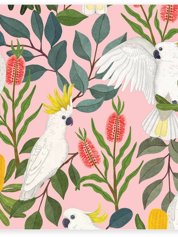 Carta da regalo piegata - Aussie Squawkers (confezione da 6) per la vendita all'ingrosso da parte di Earth Greetings