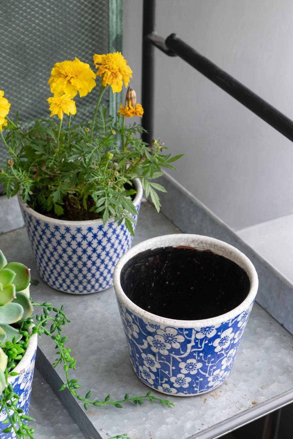 A&B Home Group Inc. - Wholesale Plant Pot - S/4 D5.5x5" Terracotta Planters7