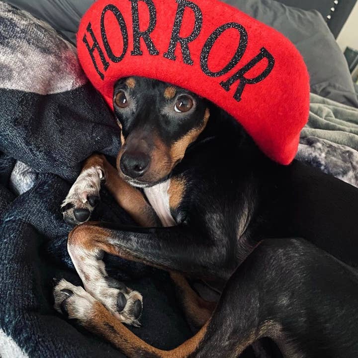 Witchwood Bags - Vendita all'ingrosso Basco - Donna - Berretto vegano - HORROR8