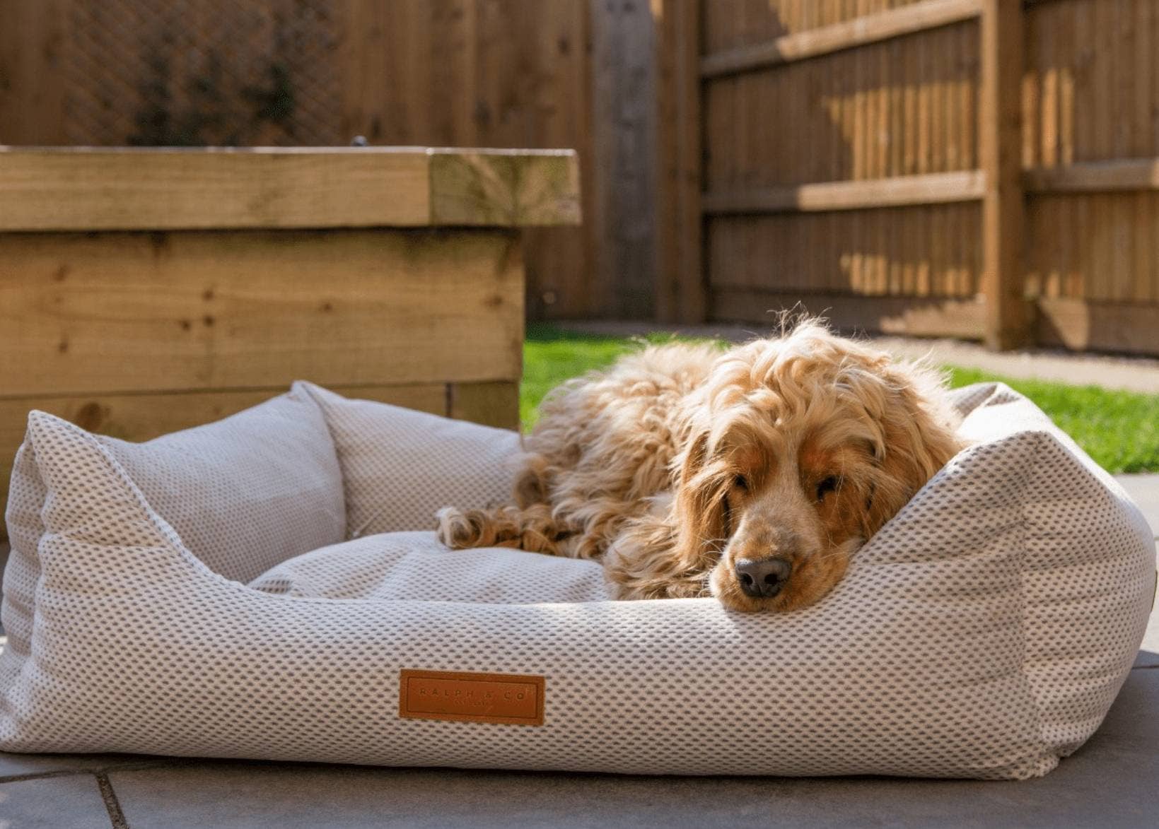 Ralph & Co – wholesale Pet bed – Dog – Orthopedic Memory Foam Dog Bed With Removable Covers | Beige1