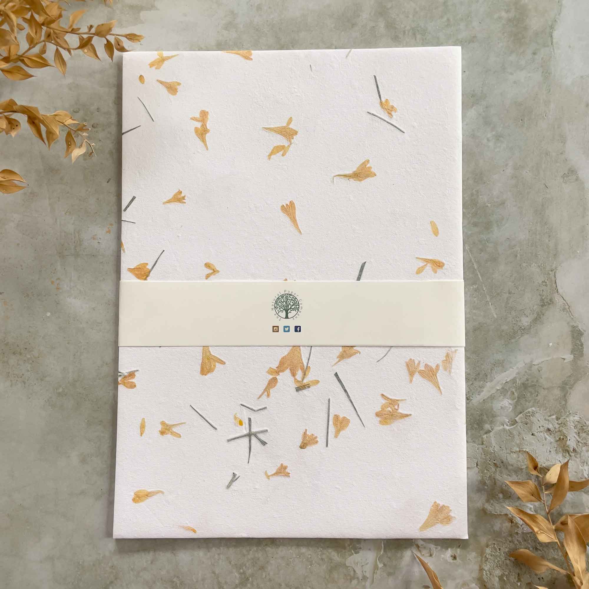 The Natural Paper Company – wholesale Stationery/notecard set – Gaillardia - Flower Handmade Paper and Envelopes | Recycled 8