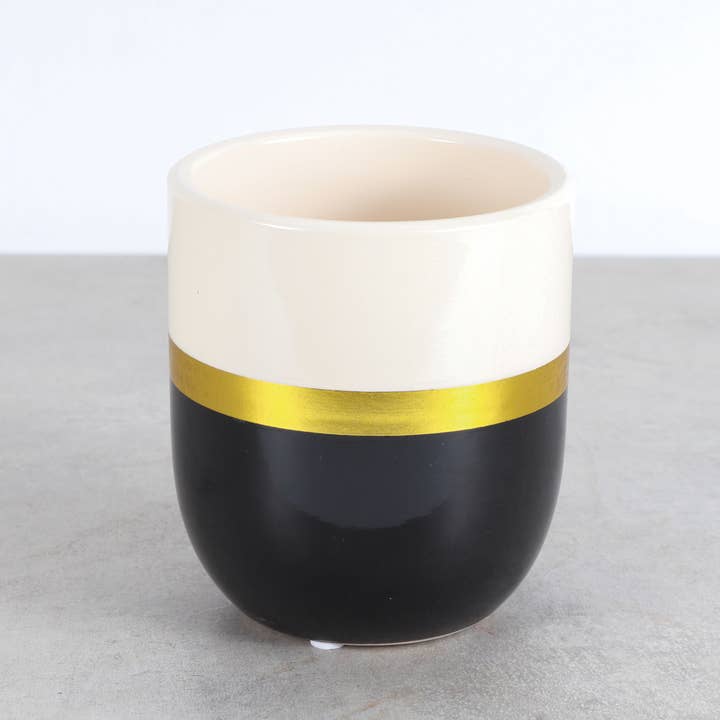 Thorsen's Greenhouse - Wholesale Plant Pot - 3" Ceramic Modern Planter for Houseplants - Black/White/Gold