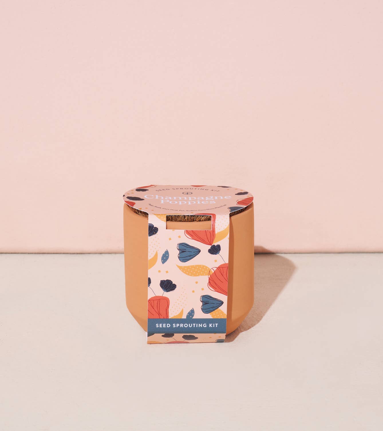 Modern Sprout - Wholesale Plant Seeds - Tiny Terracotta Grow Kits6