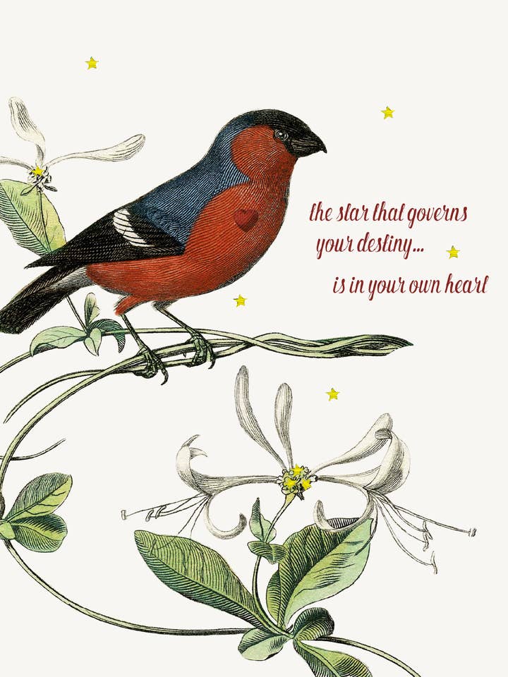 Stjärnan som styr ditt öde... A2 gratulationskort för wholesale av P. Flynn Design / Phun House