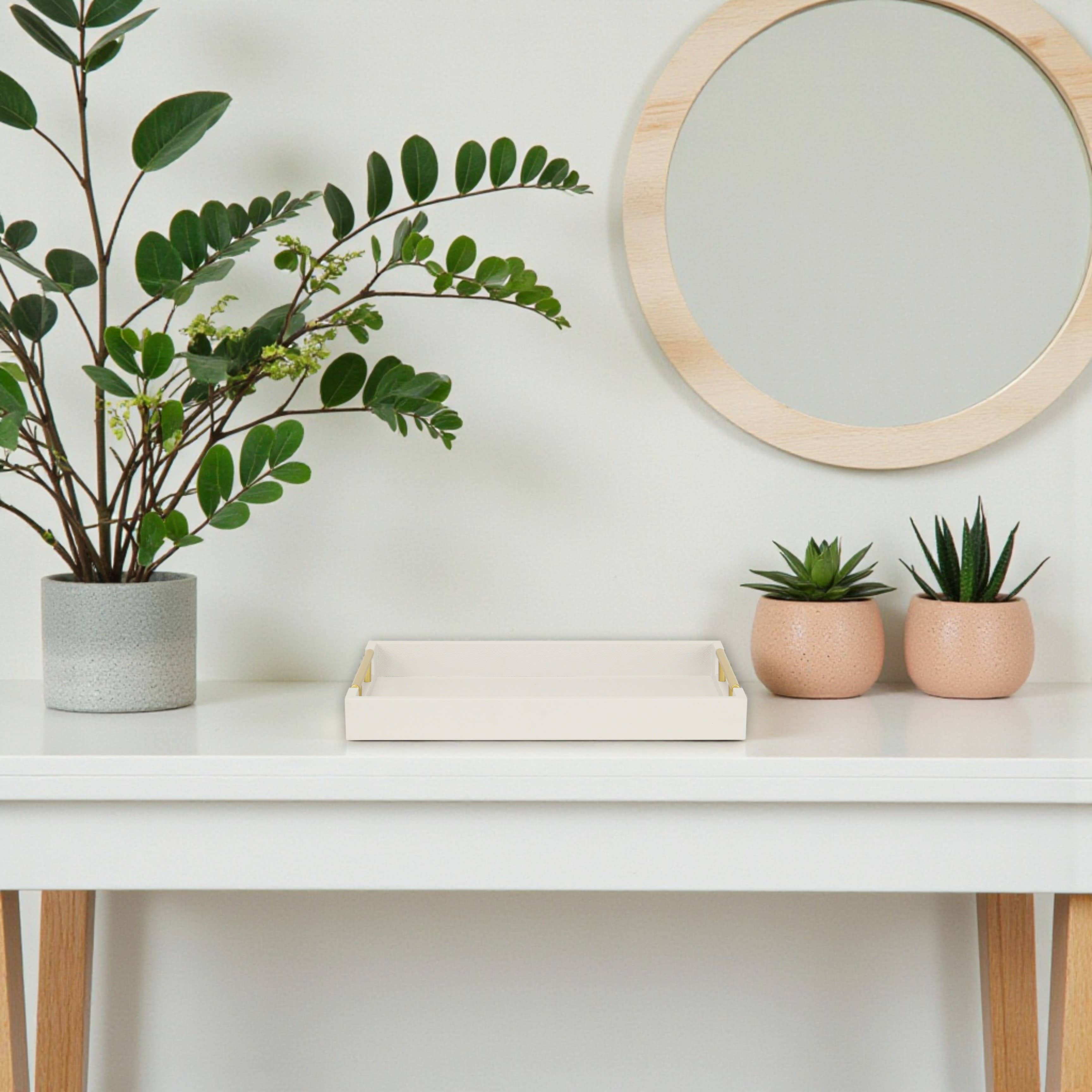 Cheungs Home Decor - Vendita all'ingrosso Vassoi decorativi - Vassoio in vinile Lusan13