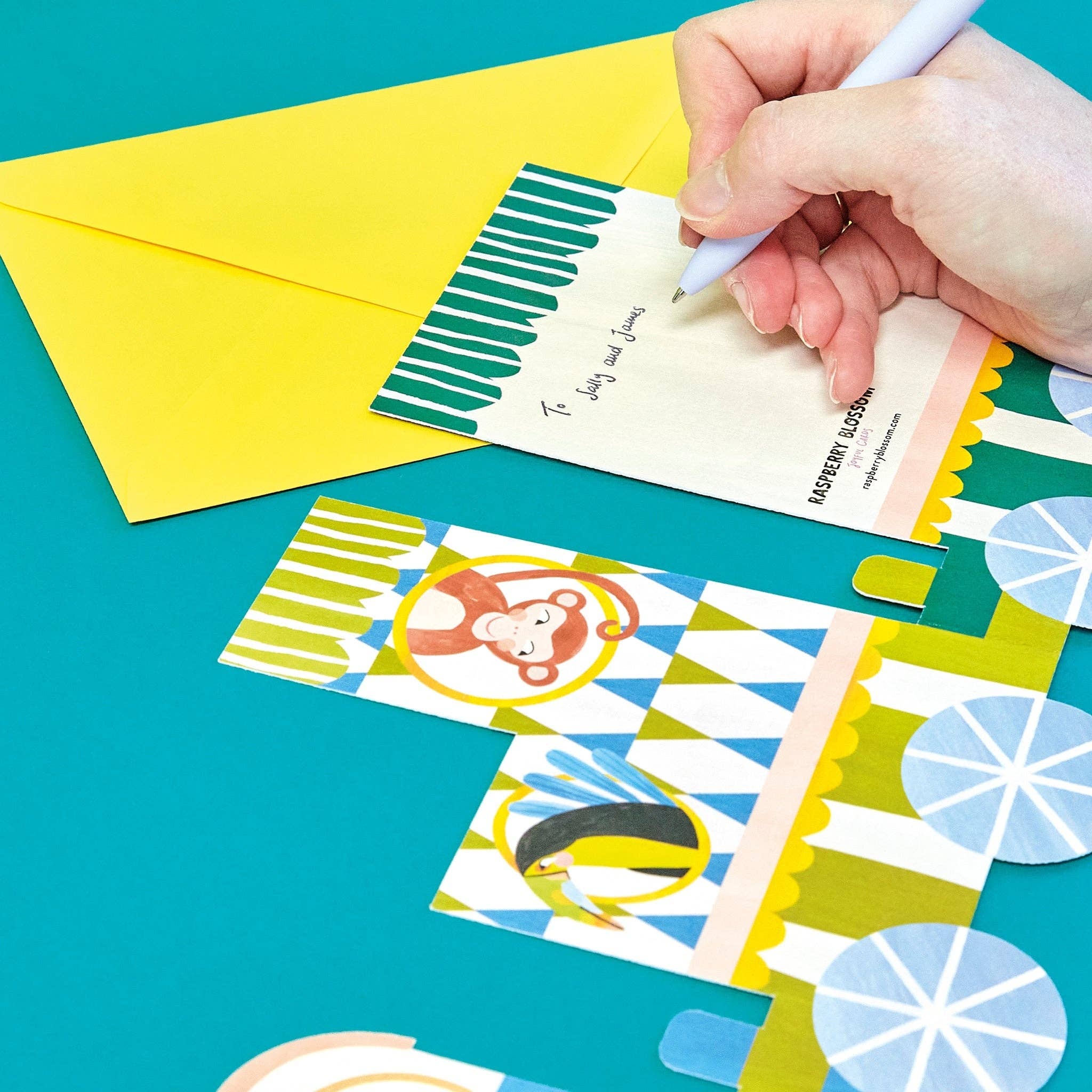 Raspberry Blossom - Wholesale Baby Card - Baby boy concertina fold (KEP05)3