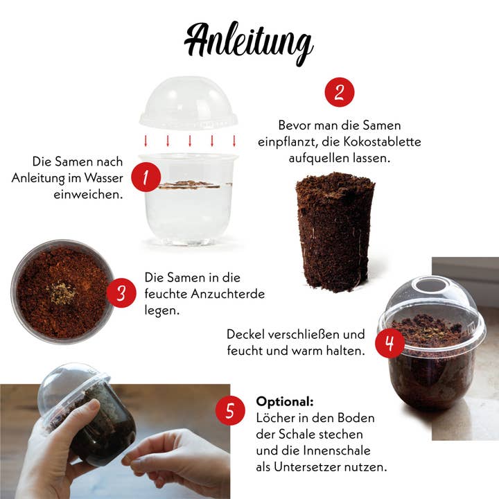 Vendix GmbH - Wholesale Plant Seeds - Grow2Go Bonsai Starter Kit Growing Set (Gift Idea)8