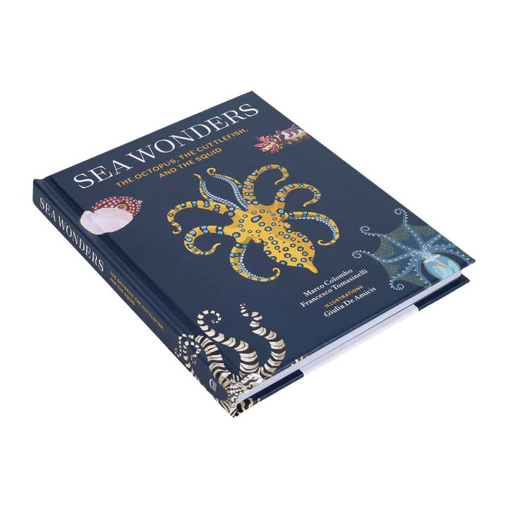 Chronicle Books - Wholesale Nature & Outdoors - Sea Wonders1