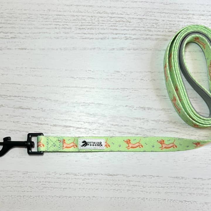 Petals & Pooch - Wholesale Pet Leash - Dog - Doxie's On The Go Leash