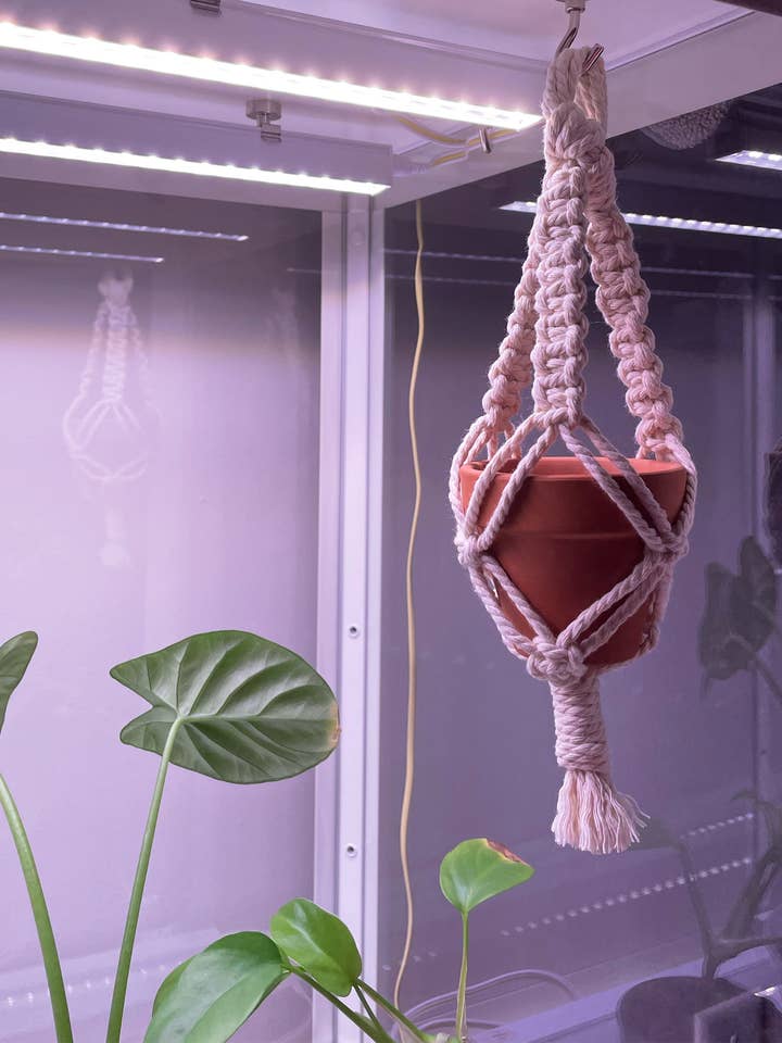 Mini-cintre en macramé pour petits espaces pour la vente par Monsteras and Macrame