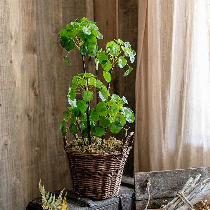 Artificial Potted Pilea Plant 26" Tall for wholesale by Rustic Reach