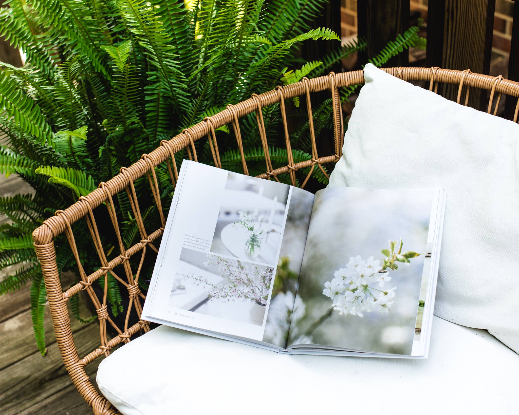 HarperCollins Focus - Wholesale Home & Garden - White and Faded: Restoring Beauty in Your Home and Life1