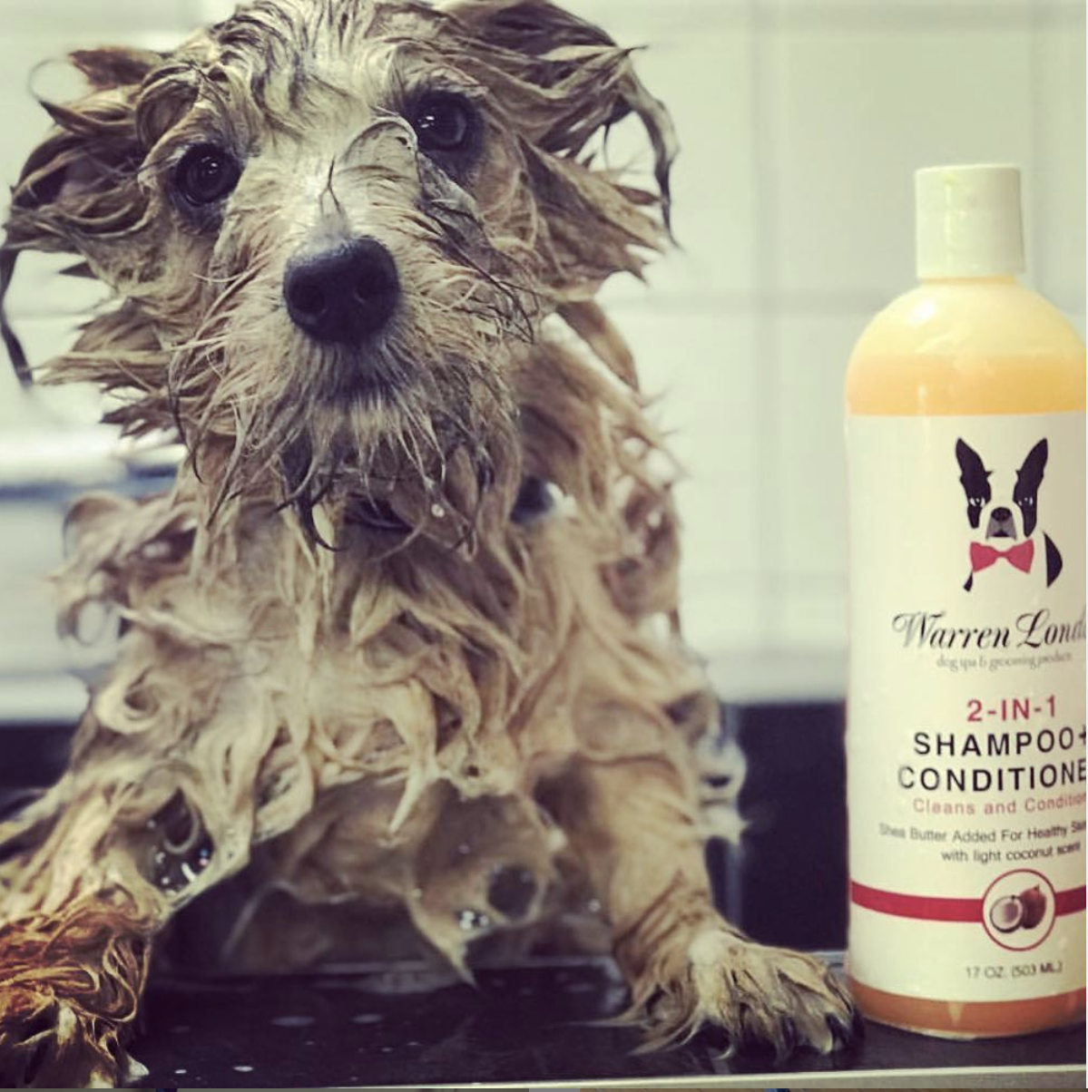 Warren London Dog Products - Wholesale Pet Shampoo - Dog - Shampoo: 2in1 plus Conditioner - 2 Sizes5