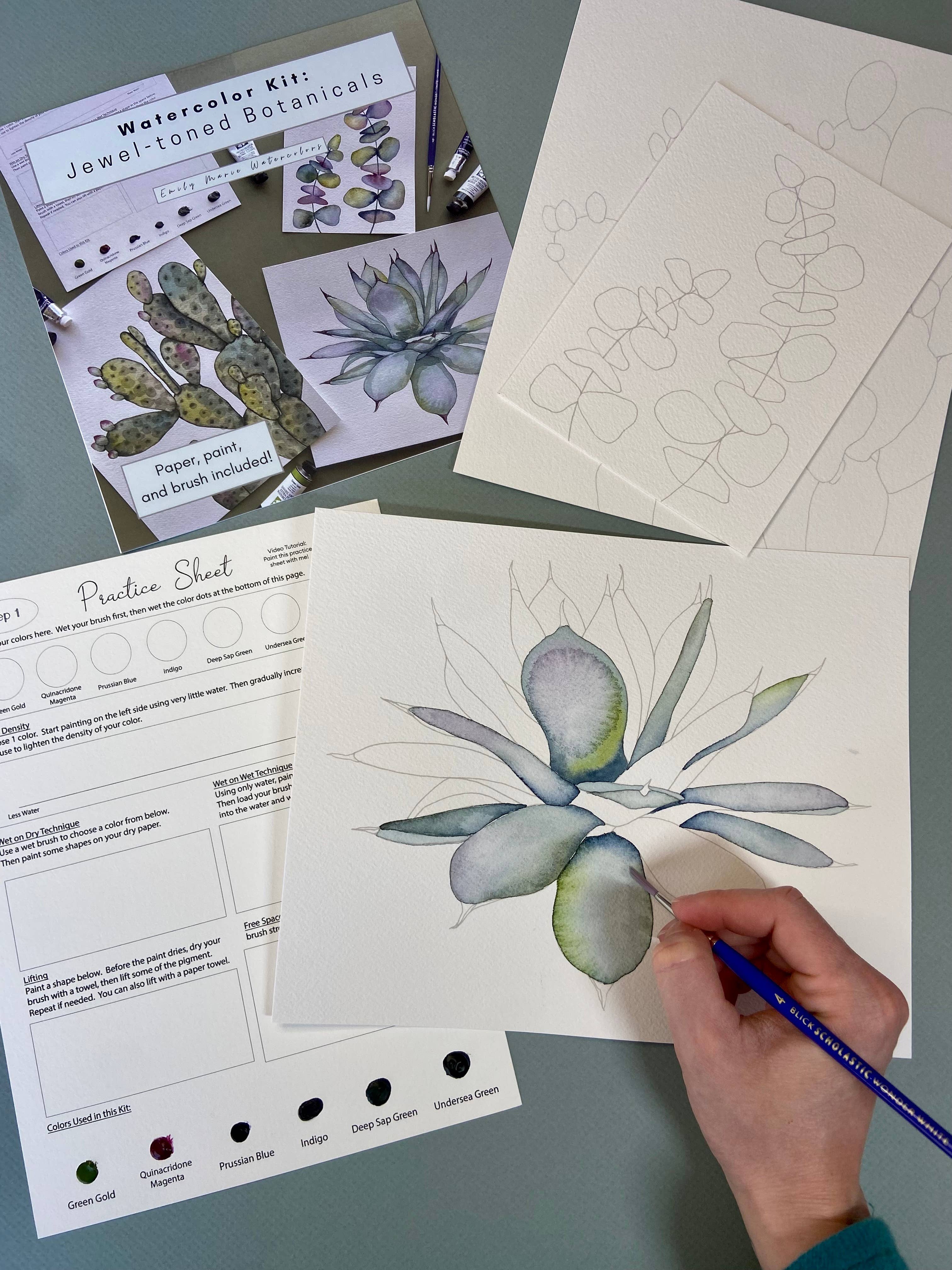 Emily Marie Watercolors - Wholesale DIY Craft Kit - Watercolor Painting Kit: Jewel-Toned Botanicals2