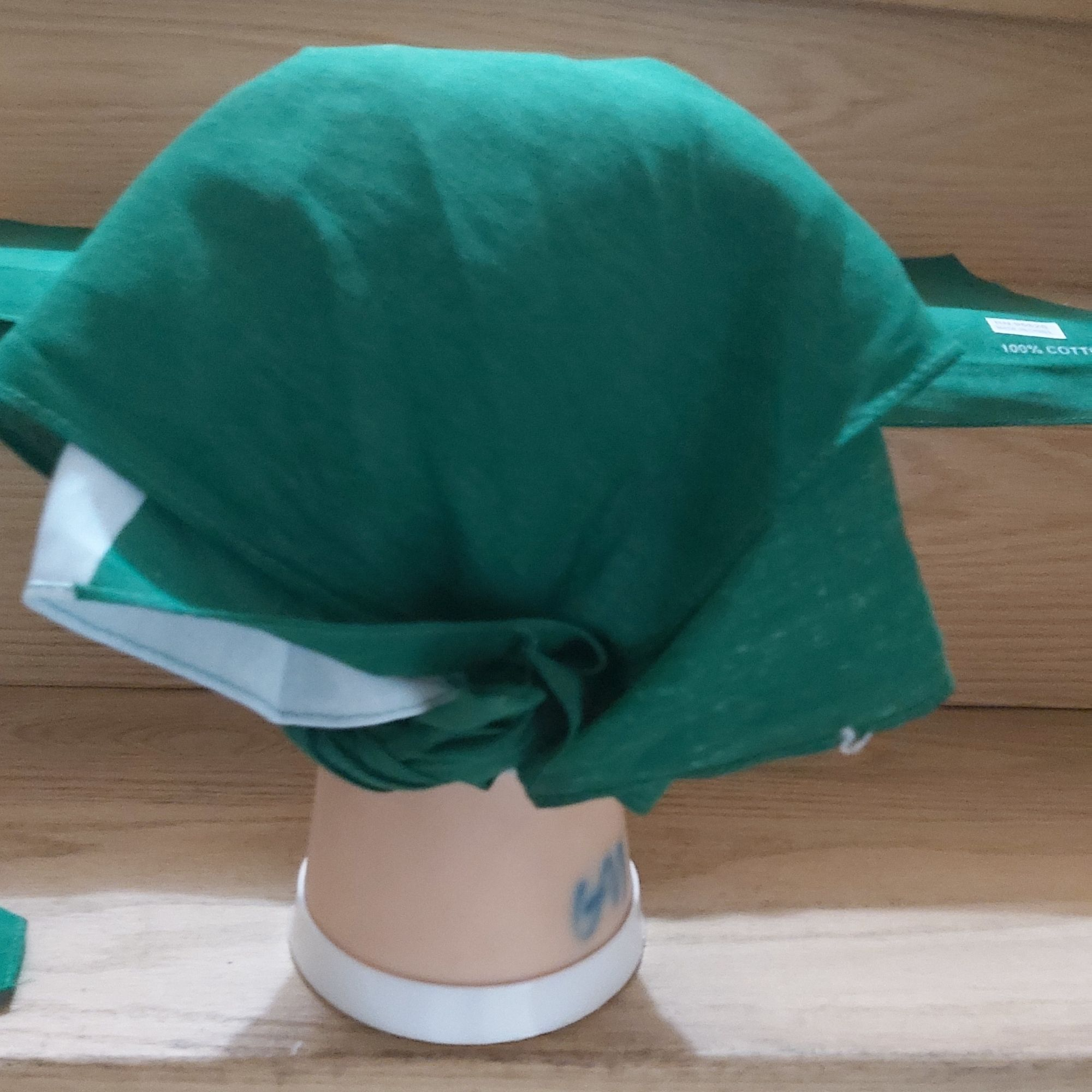 Worldwide Souvenir Mart - Vente Bandana – unisexe - Mouchoir Bandana Drapeau du Nigéria/Couvre-tête Drapeau Nigérian3