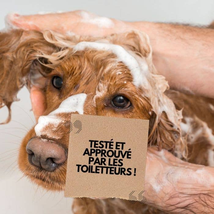 UKAL GREEN - Wholesale Pet Shampoo - Dog - PURALIA Detangling shampoo 250 ml5