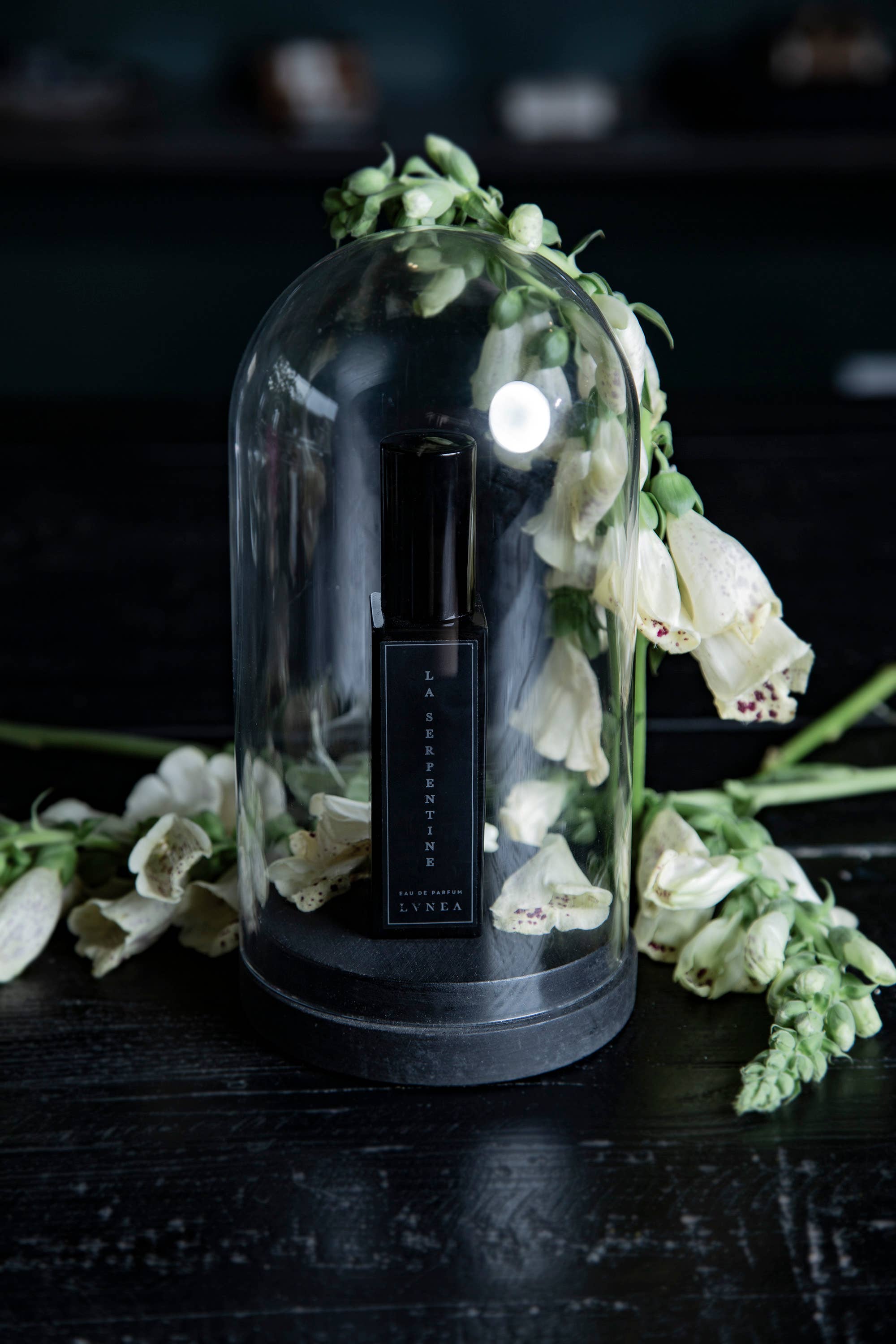 Lvnea Perfume - Wholesale Perfume/Eau de Toilette - LA SERPENTINE 8ml Eau de Parfum | Peach, patchouli, oakmoss2