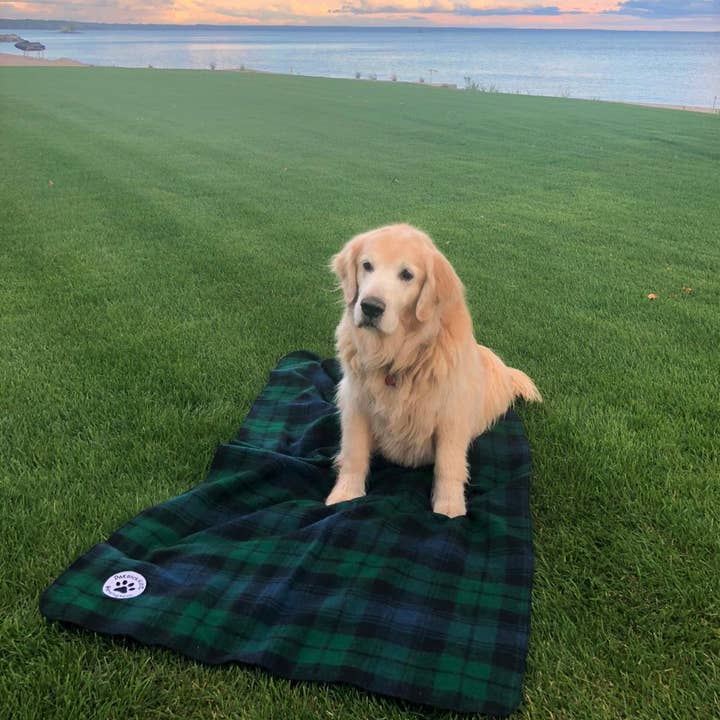 Patrick King Woollen Company – Großhandel Haustierdecke – Hund – Schwarze Watch Hundedecke groß/XLarge