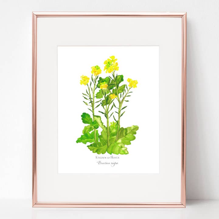 THE PROCLAMATION OF THE KINGDOM OF GOD, KINGDOM OF HEAVEN, Brassica nigra for wholesale by Rose Harrington