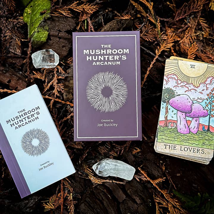 The Fungi Arcana - Wholesale Tarot Cards - The Mushroom Hunter's Arcanum: a 78-Card Tarot Deck4