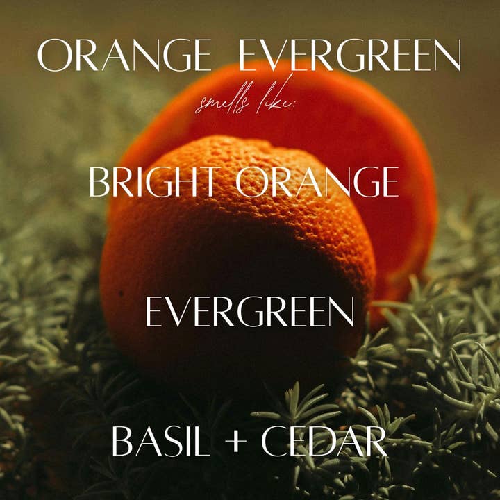 Cedar Mountain Candle - Wholesale Jar/Filled Candle - Orange Evergreen - 9 oz Whiskey Glass Candle1