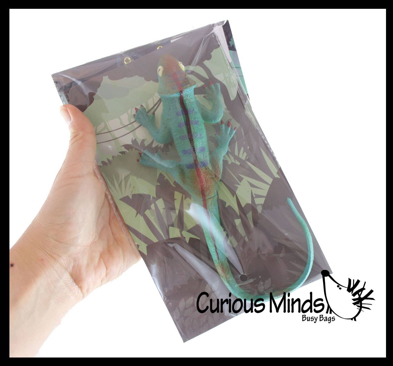 Curious Minds Toys - Vente Fidget/jouet anti-stress – enfant - 1 jumbo : faites pousser un lézard dans l'eau. Ajoutez de l'eau et il grandit7