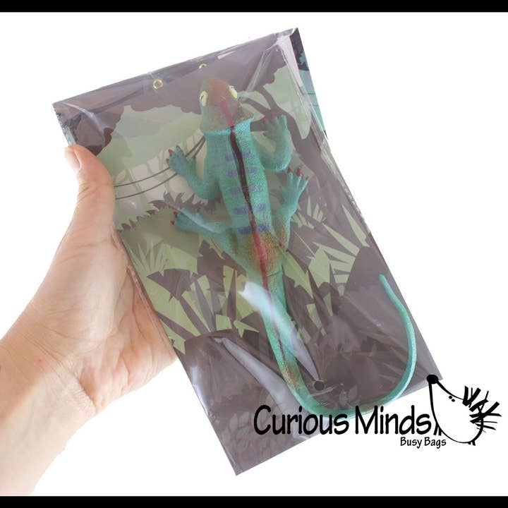 Curious Minds Toys - Wholesale Fidget toy – Kids - 1 Jumbo Grow a Lizard in Water - Add Water and it Grows up7