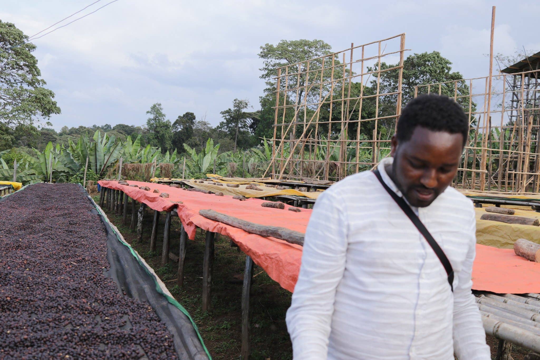 East One Coffee Roasters - Wholesale Coffee Beans - Bookkisa1