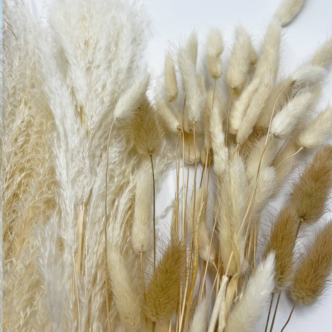 2626 Designs - Wholesale Dried/Pressed Flowers - Real Preserved Mixed Bouquets Mix 8 Small - Med - Large7