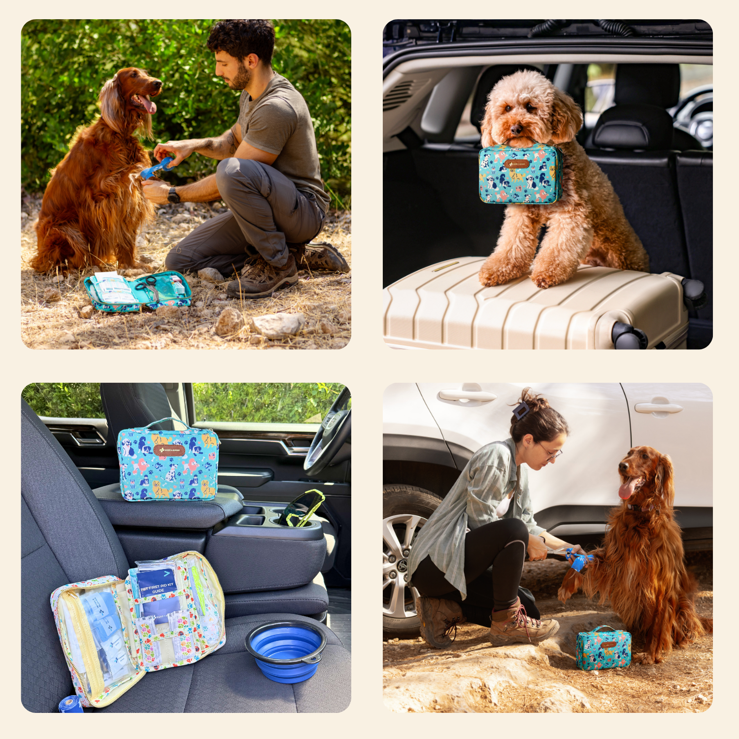 KEEP>GOING First Aid - Vente Trousse de premiers secours - Trousse de premiers secours pour chiens (99 pièces)3
