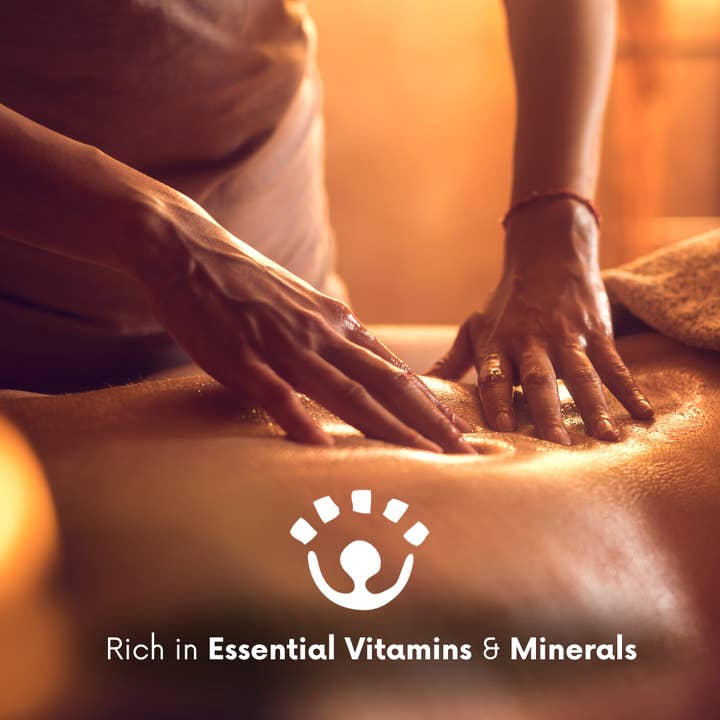 Best of Nature - Wholesale Bath/Body Oil - Hydrating, Fragrance-Free Fractionated Coconut Body Oil, 8oz4