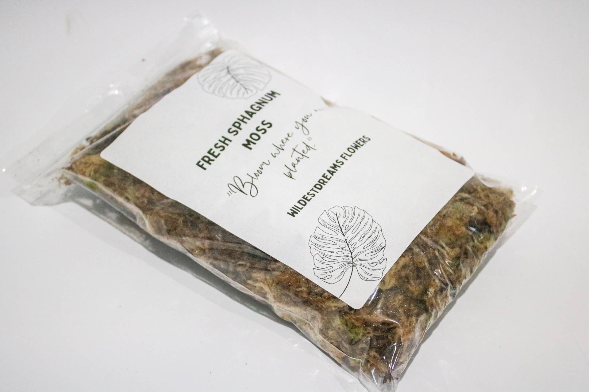 Wildestdreams.flowers – wholesale Live plant – Fresh Sphagnum Moss,live tropical terrarium moss (ONLY MOSS)6