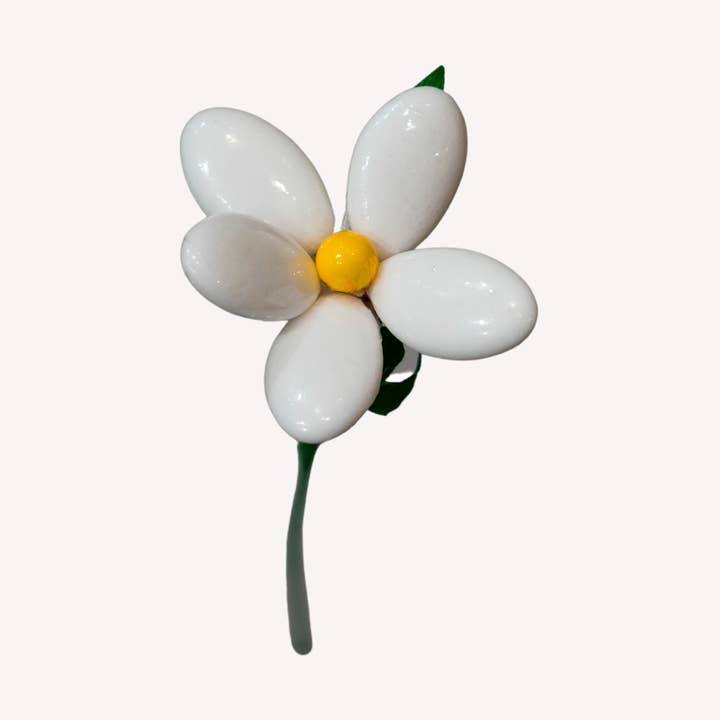 Gran margarita en grageas de chocolate para venta al por mayor de Fleurs-Thés en chocolat