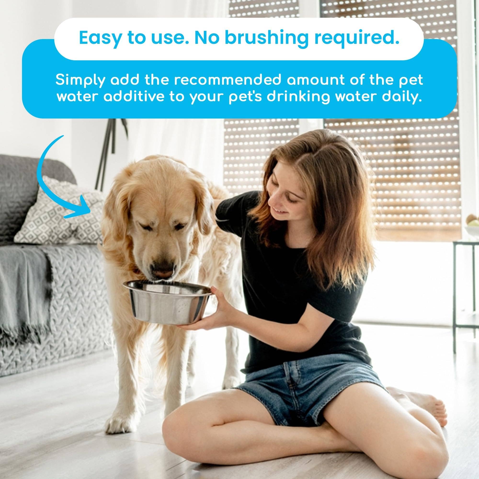 Infinite Health Labs, LLC – wholesale Kosttillskott för husdjur - Katt och hund – Oxydent Husdjur Tandvård12