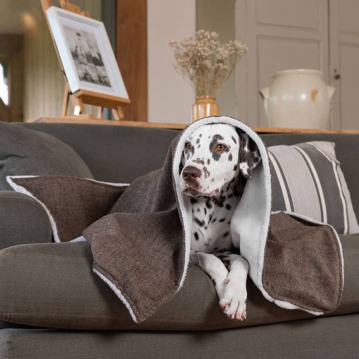 Dog & Puppy Blanket in Inchmurrin Umber for wholesale by Lords and Labradors