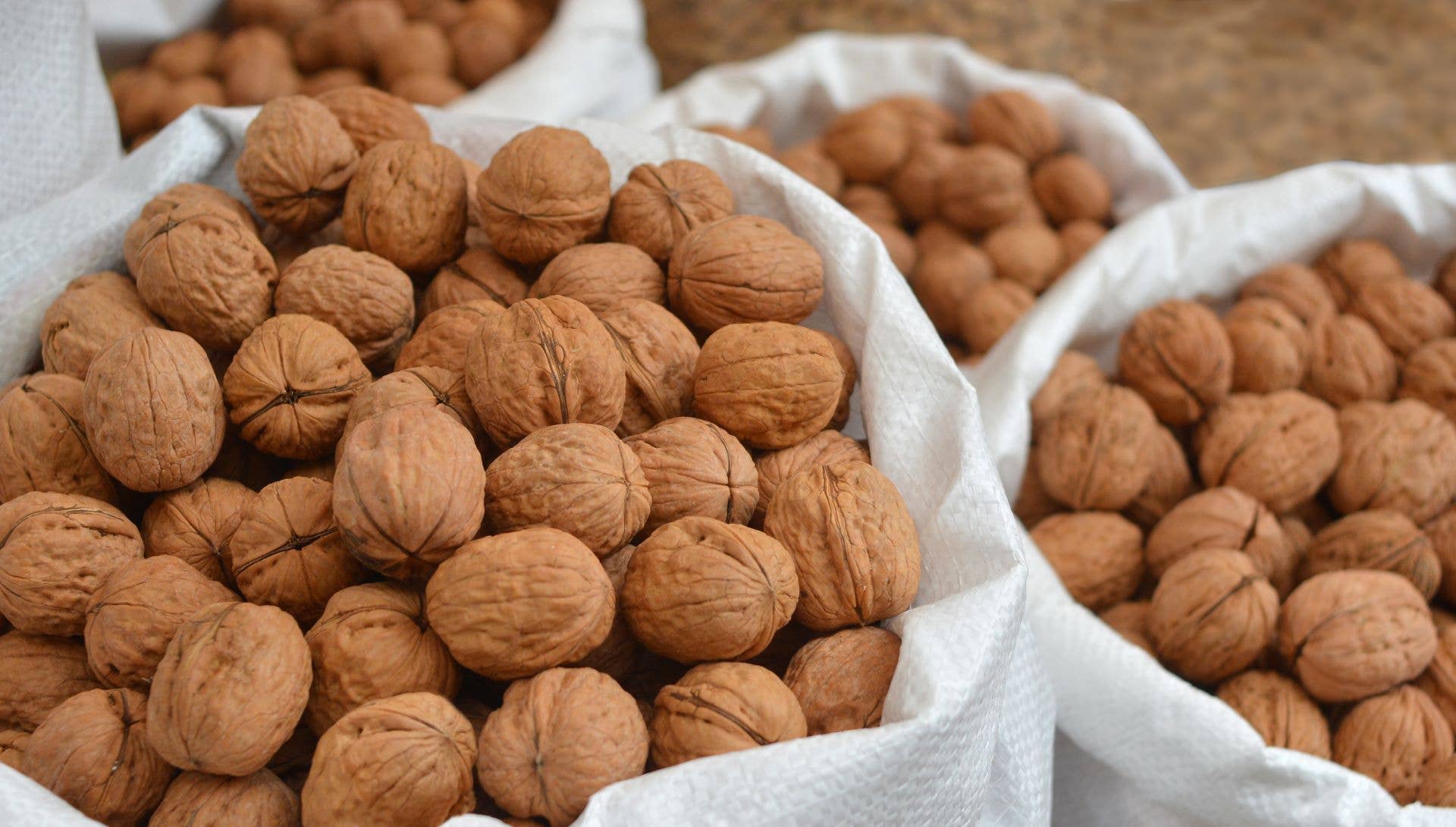 Finca La Noguera - Wholesale Noten - Walnootschalen maat 34-36, 5 kg1