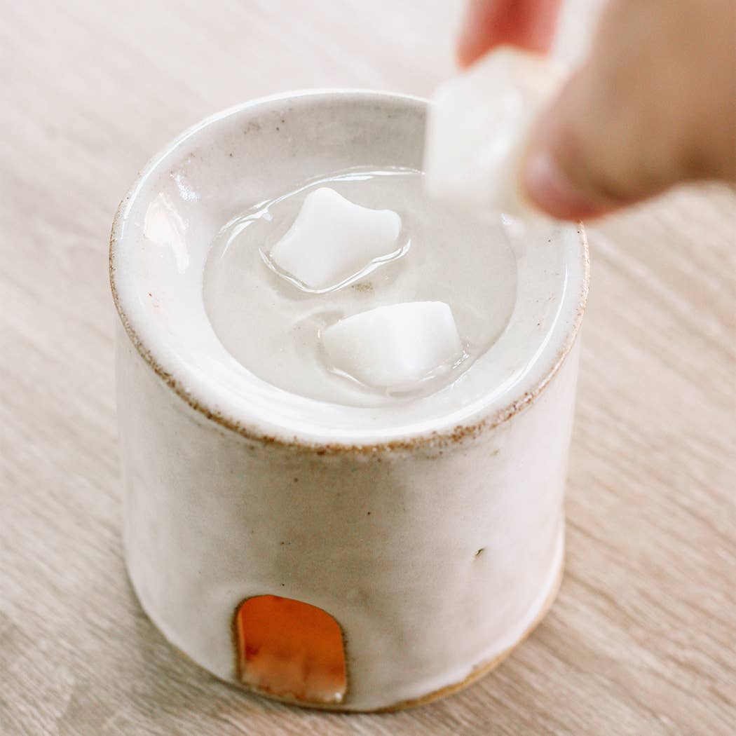 Well-Taylored Co. - Vente Fondants - La cire de noix de coco et de soja Zest fond1