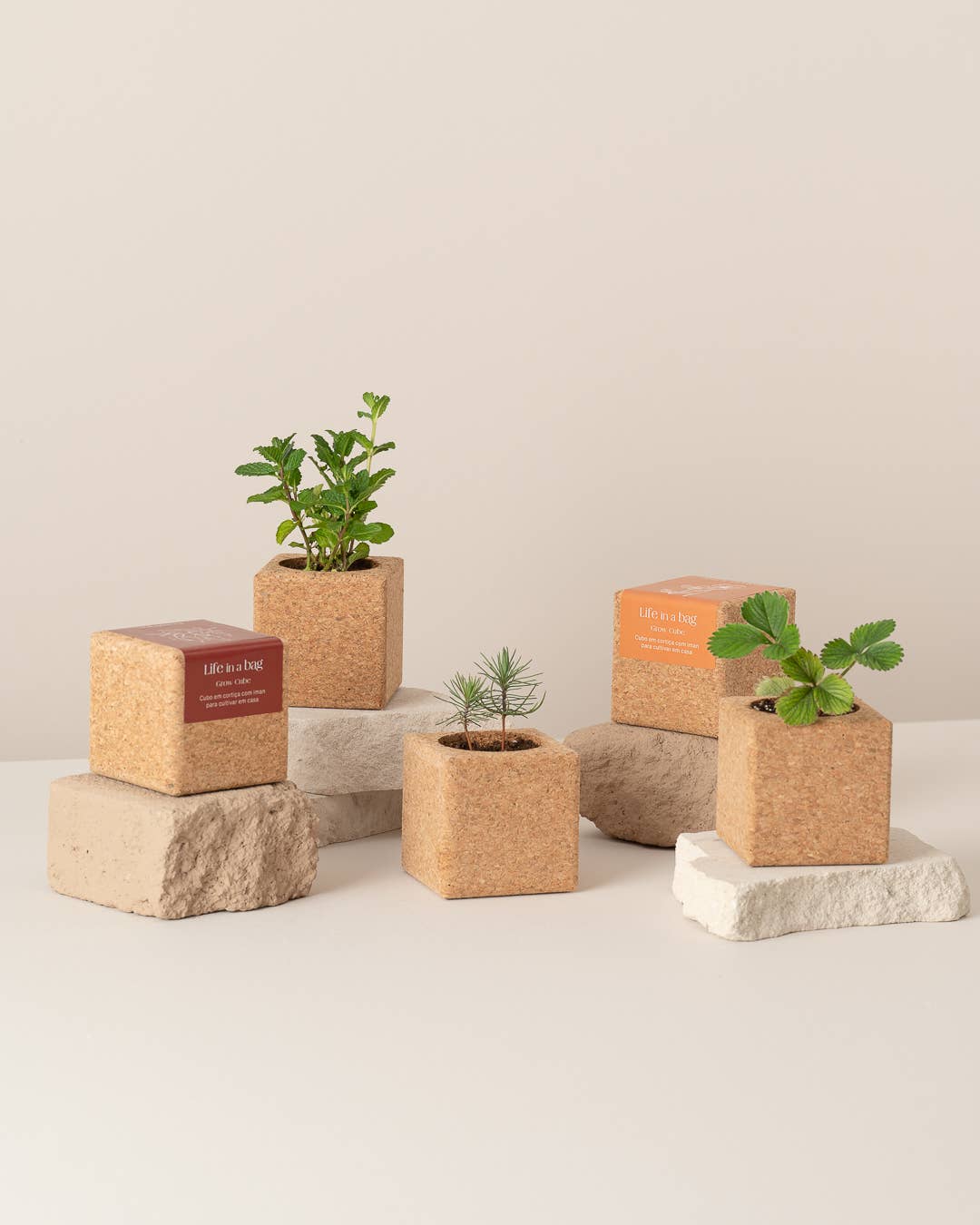 Life in a bag – Engroshandel Plantekrukke – Grow Cube Merry Christmas - Korkkubus med magnet til dyrkning af blomster og krydderurter2