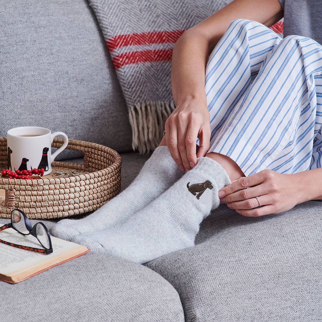 Sweet William Designs – wholesale Socks – Unisex – Dog Walking socks -  Cocker Spaniel (Chocolate)3