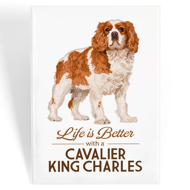 Lantern Press - Wholesale Magnet - MAGNET Cavalier King Charles, Life is Better