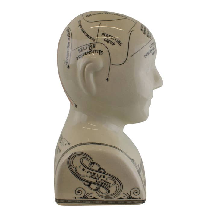 Natural Multi Large Ceramic Crackle Phrenology Head for wholesale on Faire