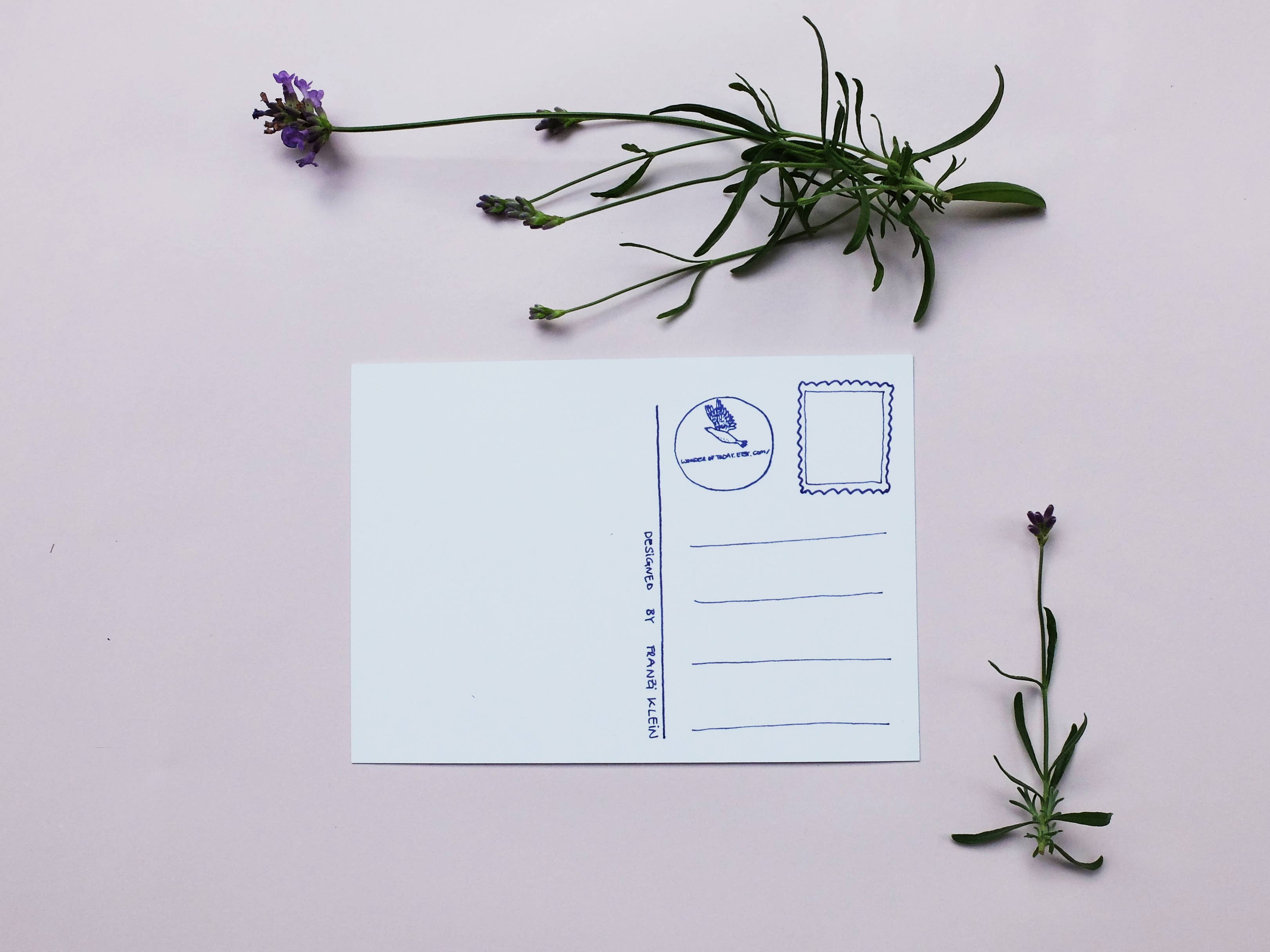 Wonder Of Today – Postal por atacado – Cartão Postal Coelho2