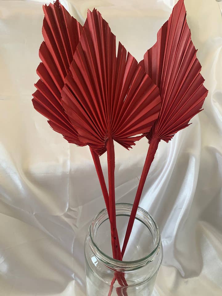 3 lanzas de palma de colores secos, decoración de tartas, decoración de tartas, hogar para venta al por mayor de Saslittlevillage