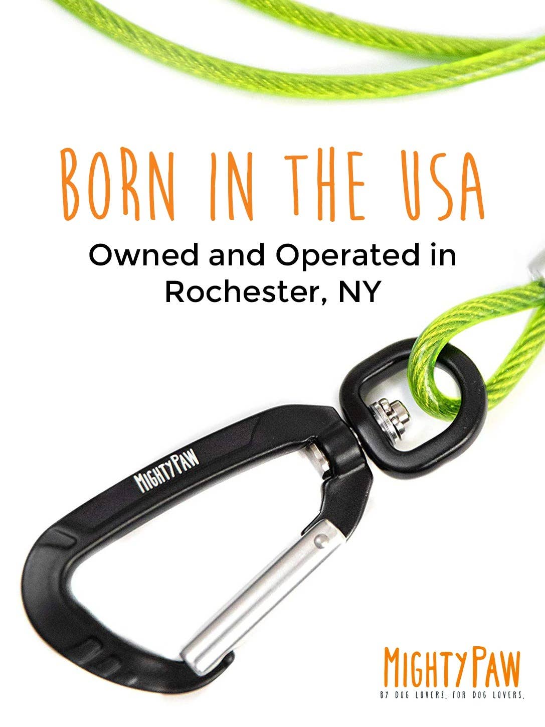 Mighty Paw - Vente Laisse – chien - Laisse de câble anti-mâcher de 6 po7