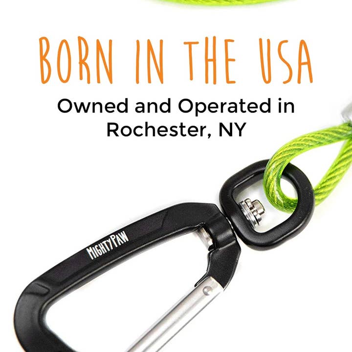 Mighty Paw - Vente Laisse – chien - Laisse de câble anti-mâcher de 6 po7