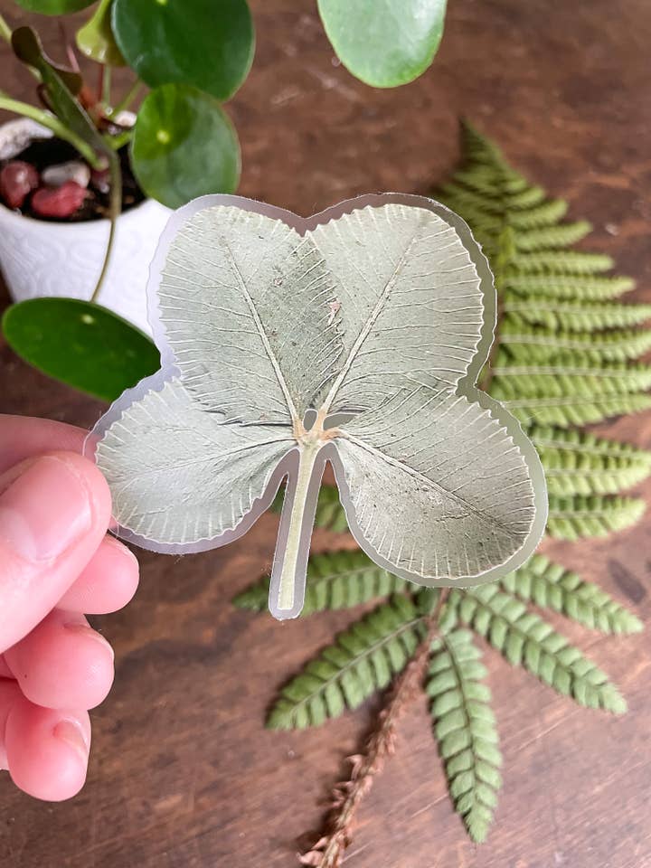 Autocollant transparent en forme de trèfle à 4 feuilles, durable et résistant aux intempéries pour la vente par Home Roots Design