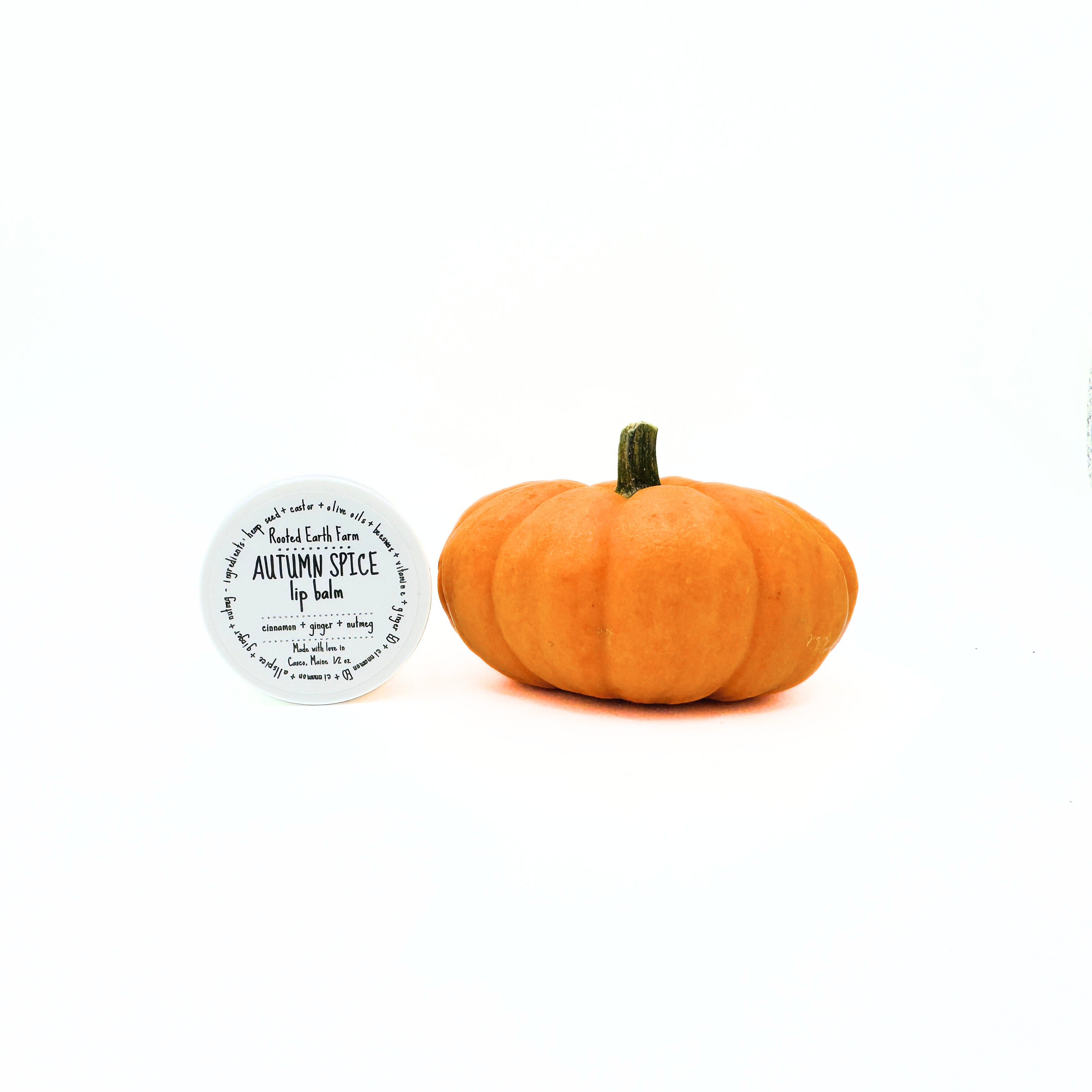 Rooted Earth Farm + Apothecary - Vente Baumes à lèvres - Baume à lèvres d'automne aux épices2